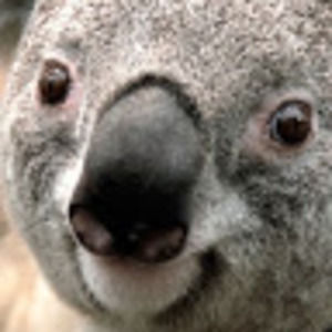 Meet your Posher, Stefan